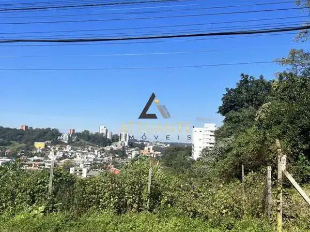 Terreno / Lote para Venda em Caxias do Sul/RS Panazzolo