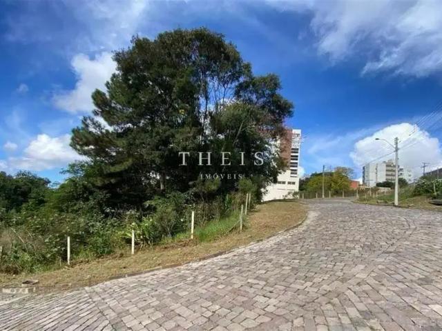 Terreno / Lote para Venda em Caxias do Sul/RS Panazzolo