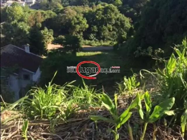 Terreno / Lote para Venda em Caxias do Sul/RS Panazzolo