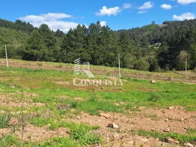 Terreno / Lote para Venda em Caxias do Sul/RS Parada Cristal