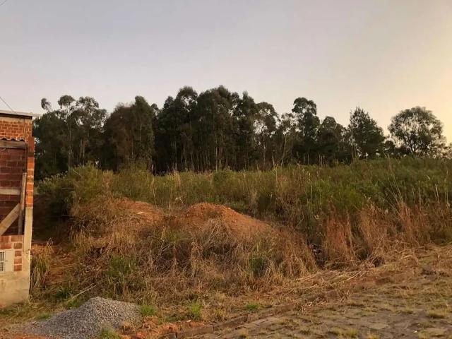 Terreno / Lote para Venda em Caxias do Sul/RS Parada Cristal