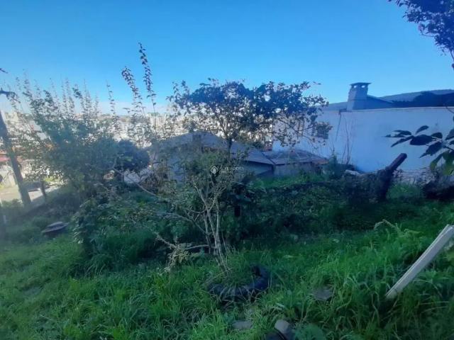 Terreno / Lote para Venda em Caxias do Sul/RS Petrópolis