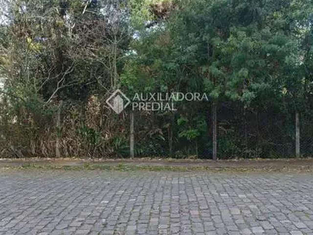 Terreno / Lote para Venda em Caxias do Sul/RS Petrópolis