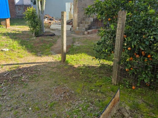 Terreno / Lote para Venda em Caxias do Sul/RS Pio X