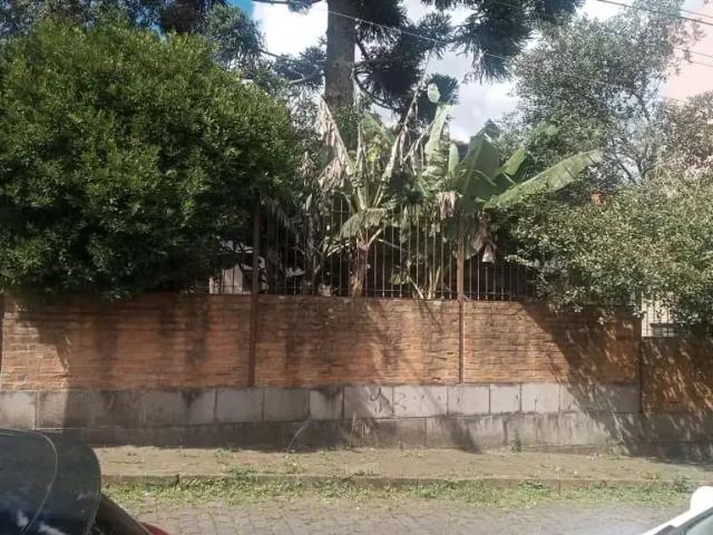 Terreno / Lote para Venda em Caxias do Sul/RS Pio X