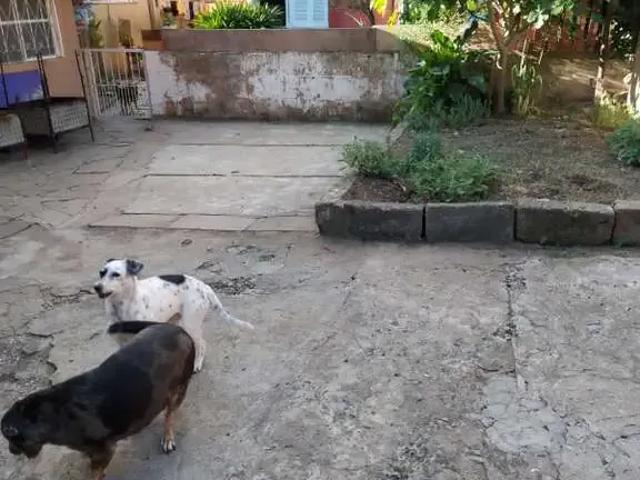 Terreno / Lote para Venda em Caxias do Sul/RS Pio X