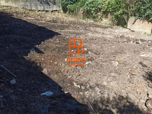 Terreno / Lote para Venda em Caxias do Sul/RS Pioneiro