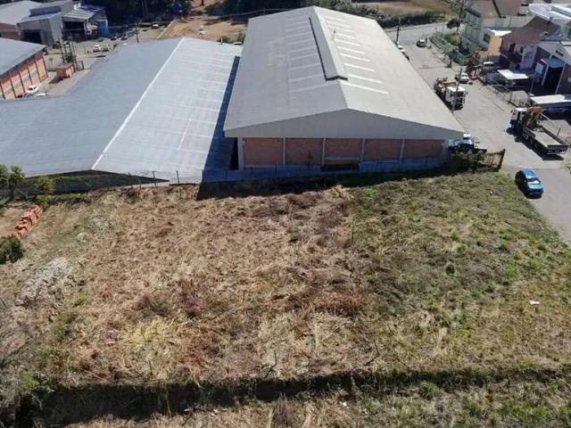 Terreno / Lote para Venda em Caxias do Sul/RS Pioneiro