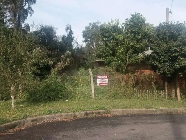 Terreno / Lote para Venda em Caxias do Sul/RS Pioneiro