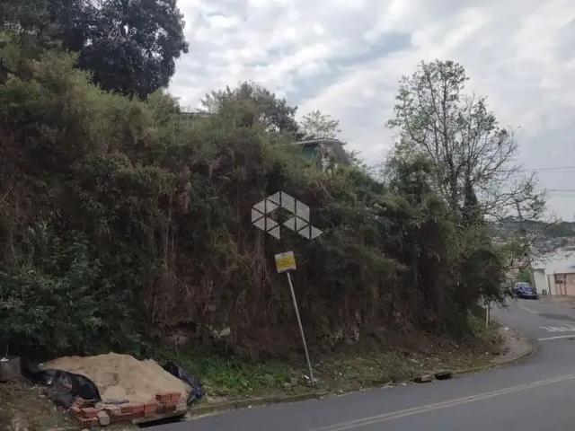 Terreno / Lote para Venda em Caxias do Sul/RS Planalto