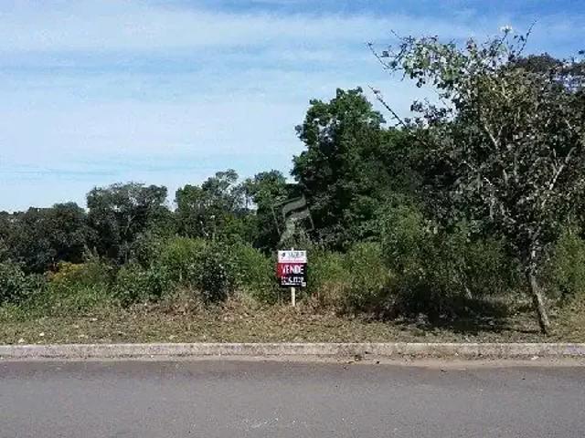 Terreno / Lote para Venda em Caxias do Sul/RS Planalto