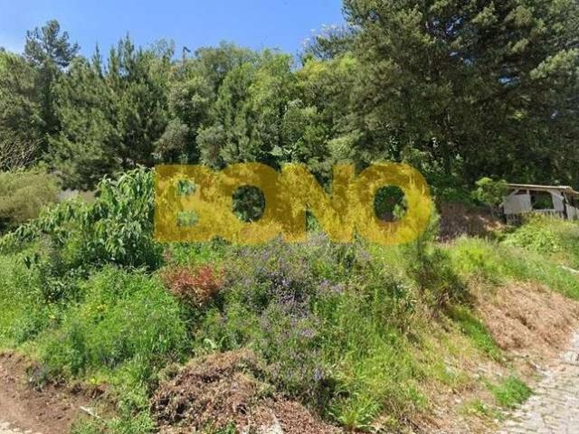 Terreno / Lote para Venda em Caxias do Sul/RS Reolon