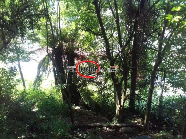 Terreno / Lote para Venda em Caxias do Sul/RS Rio Branco