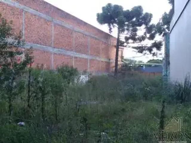 Terreno / Lote para Venda em Caxias do Sul/RS Rio Branco