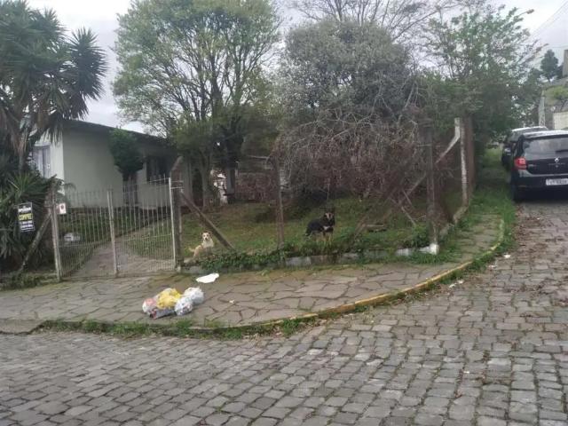 Terreno / Lote para Venda em Caxias do Sul/RS Rio Branco