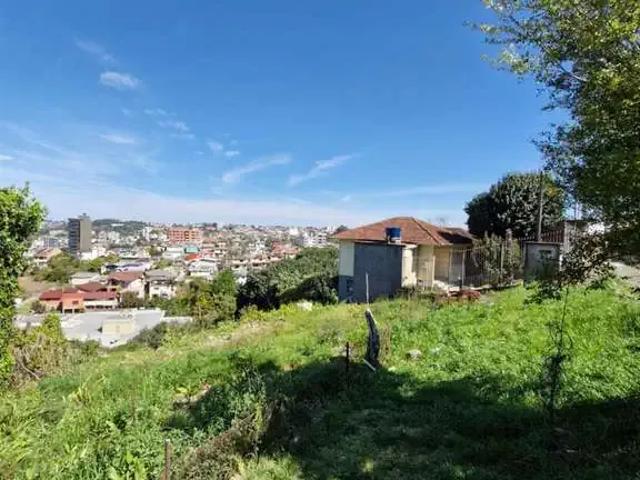 Terreno / Lote para Venda em Caxias do Sul/RS Rio Branco