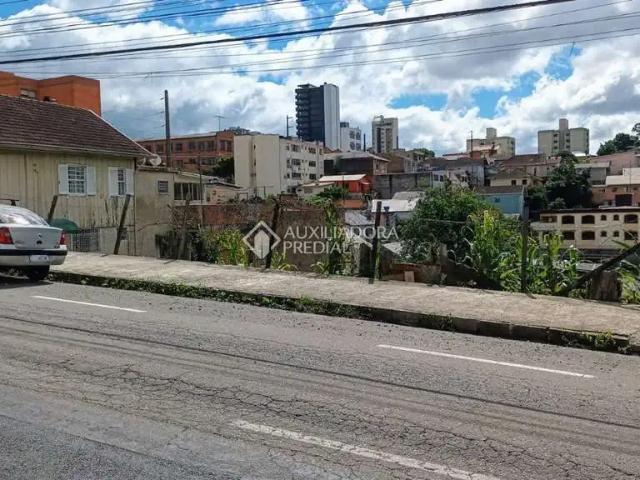 Terreno / Lote para Venda em Caxias do Sul/RS Rio Branco