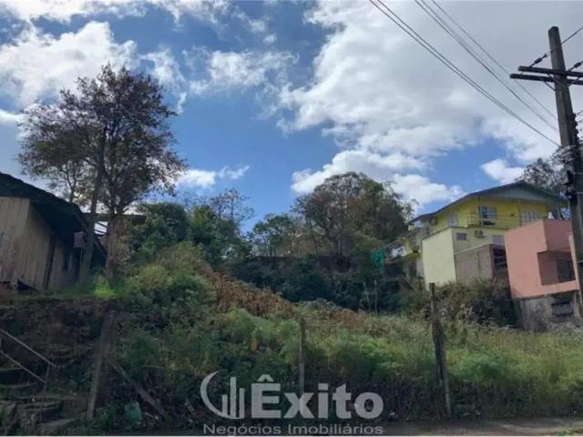 Terreno / Lote para Venda em Caxias do Sul/RS Rio Branco