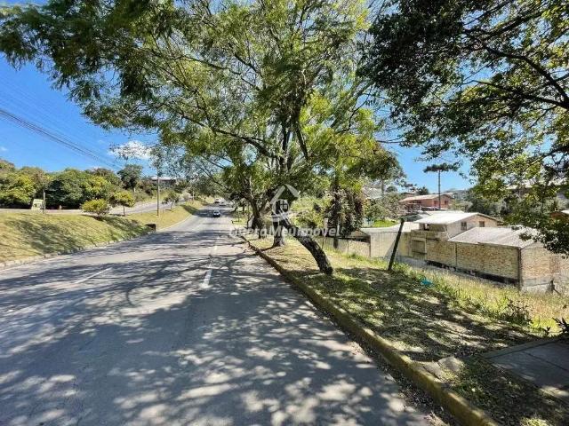 Terreno / Lote para Venda em Caxias do Sul/RS Rio Branco