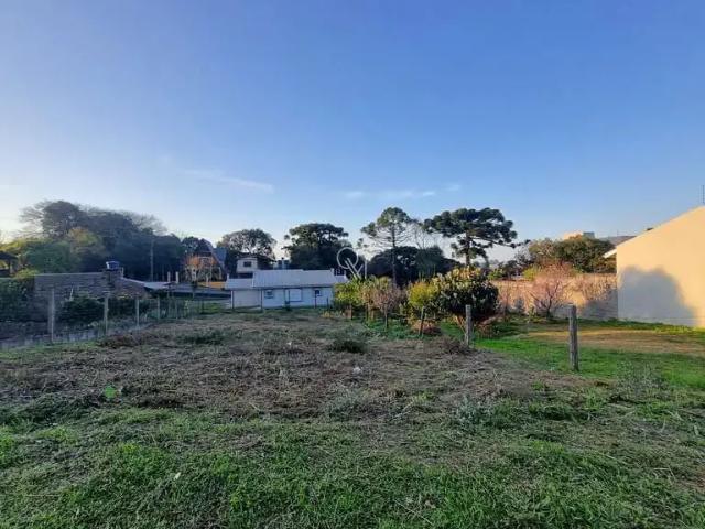 Terreno / Lote para Venda em Caxias do Sul/RS Treviso