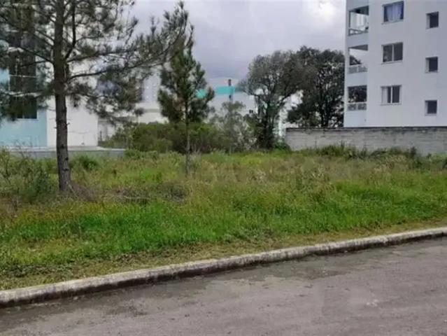 Terreno / Lote para Venda em Caxias do Sul/RS Vila Verde