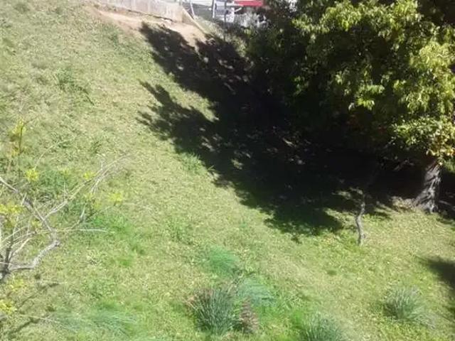 Terreno / Lote para Venda em Caxias do Sul/RS Vila Verde
