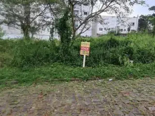 Terreno / Lote para Venda em Caxias do Sul/RS Vinhedos
