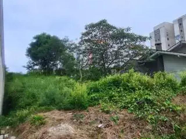 Terreno / Lote para Venda em Caxias do Sul/RS Vinhedos