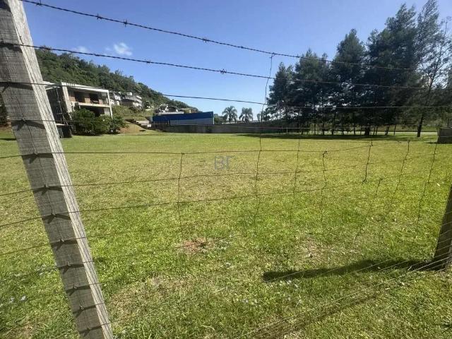 Terreno / Lote para Venda em Caxias do Sul/RS Zorzi