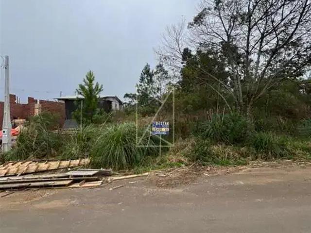 Terreno / Lote para Venda em Caxias do Sul/RS Zorzi