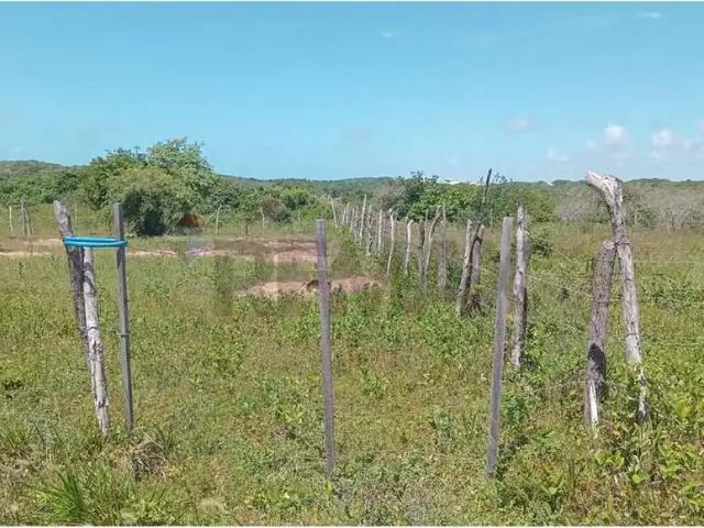 Terreno / Lote para Venda em Ceará Mirim/RN Muriú