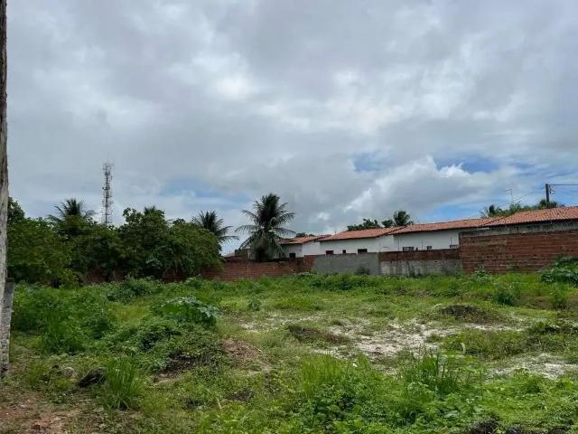 Terreno / Lote para Venda em Ceará Mirim/RN Planalto