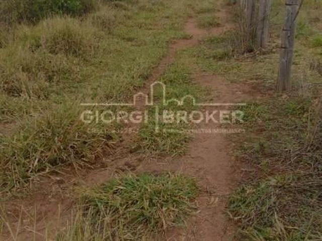 Terreno / Lote para Venda em Cedral/SP Centro