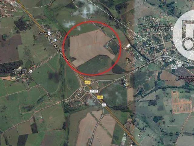 Terreno / Lote para Venda em Cedral/SP Centro