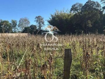 Terreno / Lote para Venda em Cesário Lange/SP Centro