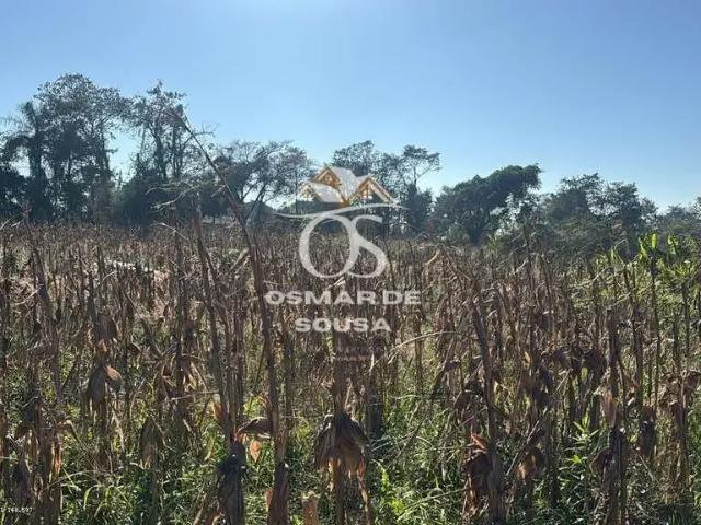 Terreno / Lote para Venda em Cesário Lange/SP Centro