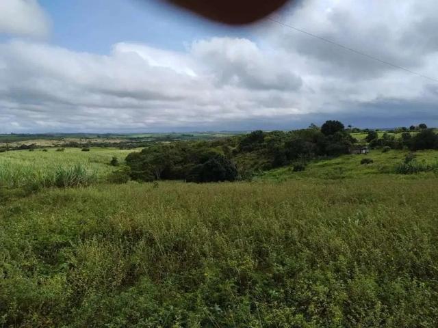 Terreno / Lote para Venda em Chã de Alegria/PE Centro