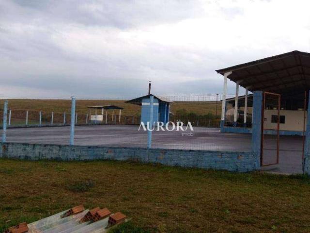 Terreno / Lote para Venda em Chopinzinho/PR Distrito Industrial