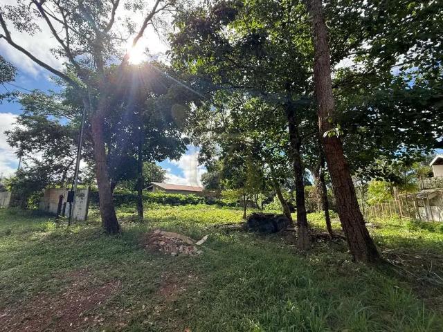 Terreno / Lote para Venda em Chapada dos Guimarães/MT Zona Rural
