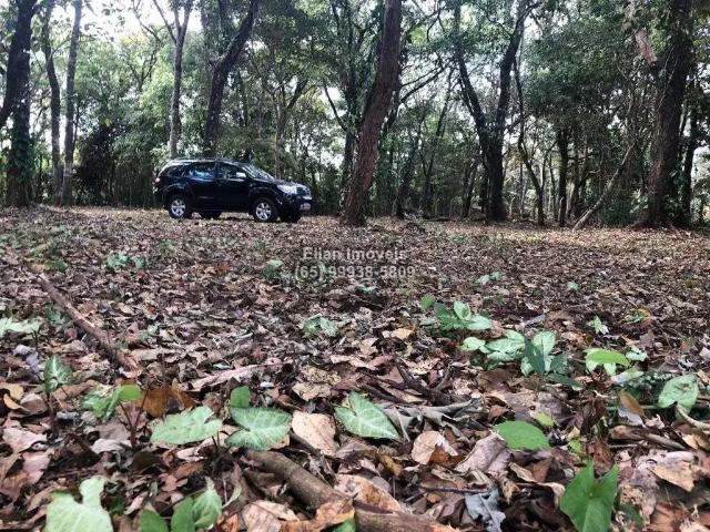 Terreno / Lote para Venda em Chapada dos Guimarães/MT Aldeia Velha