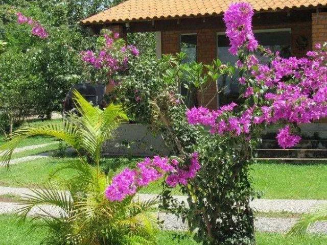 Terreno / Lote para Venda em Chapada dos Guimarães/MT Centro