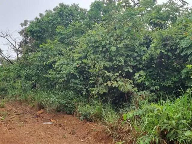 Terreno / Lote para Venda em Chapada dos Guimarães/MT Florada da Serra