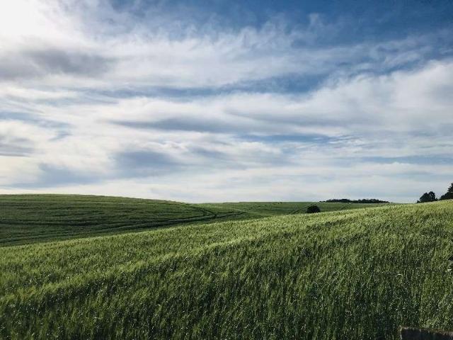 Terreno / Lote para Venda em Chapecó/SC Centro Marechal Bormann