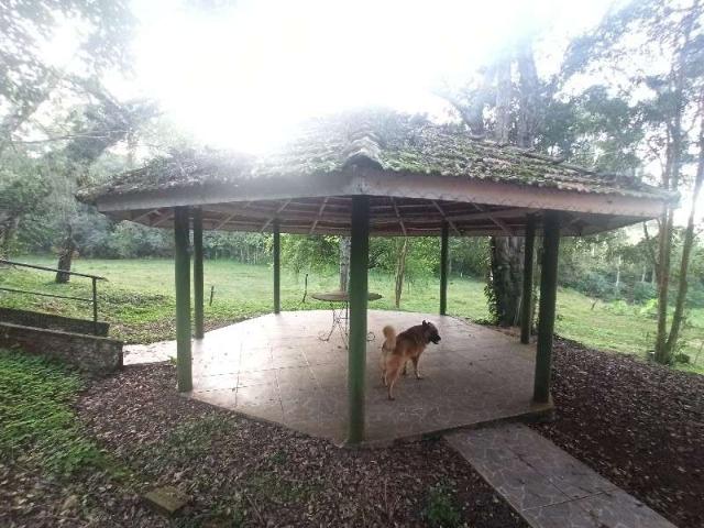 Terreno / Lote para Venda em Chapecó/SC Centro Marechal Bormann 5 Quartos