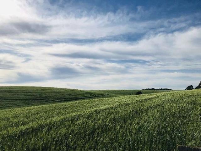 Terreno / Lote para Venda em Chapecó/SC Centro Marechal Bormann