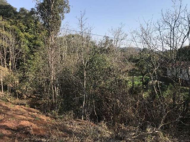 Terreno / Lote para Venda em Chapecó/SC Cristo Rei