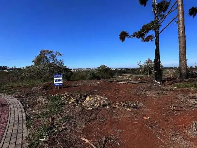 Terreno / Lote para Venda em Chapecó/SC Água Santa