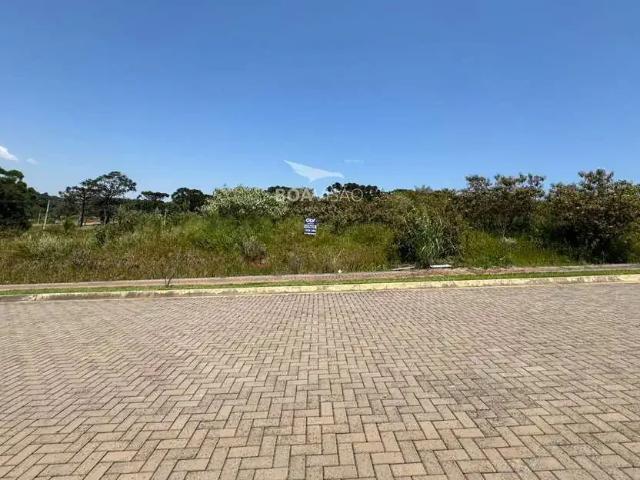 Terreno / Lote para Venda em Chapecó/SC Água Santa