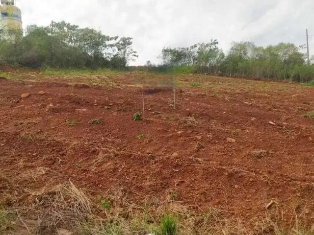 Terreno / Lote para Venda em Chapecó/SC Araras