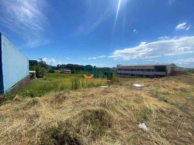 Terreno / Lote para Venda em Chapecó/SC Araras